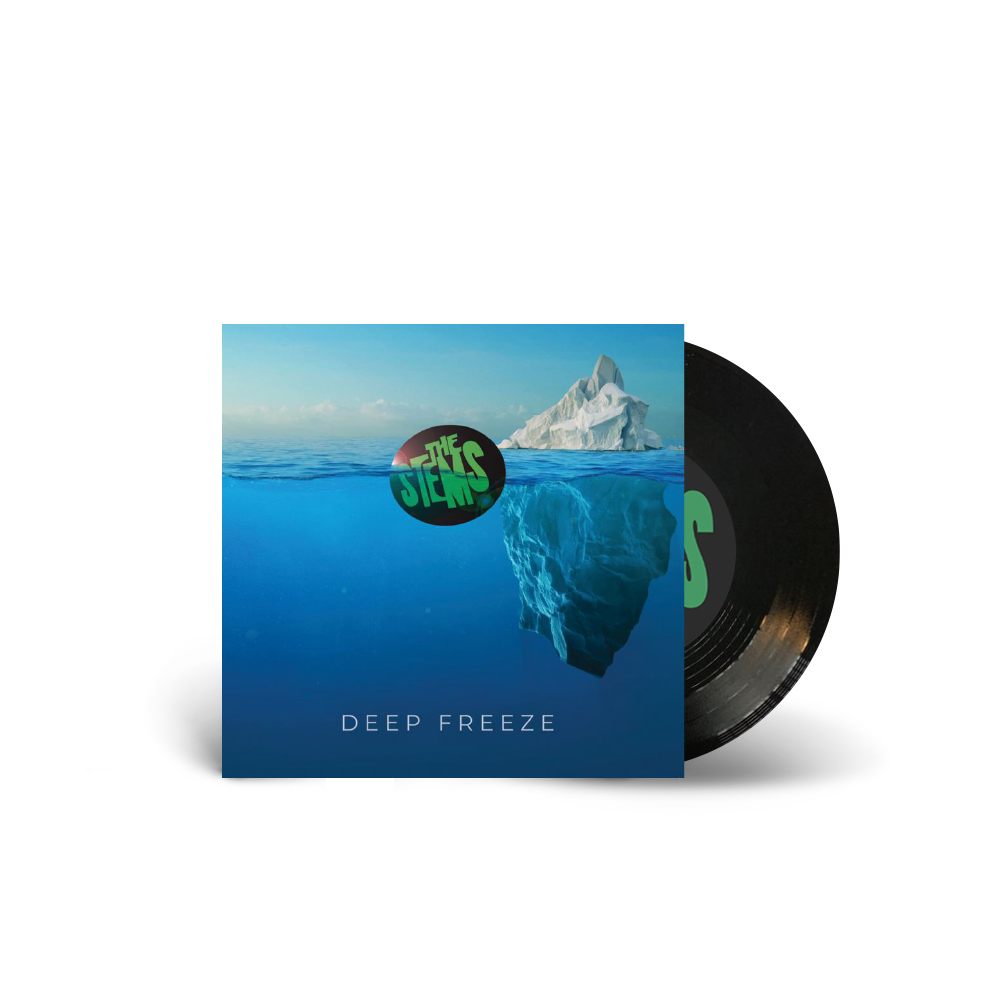 The Stems / Deep Freeze 7" Black Vinyl