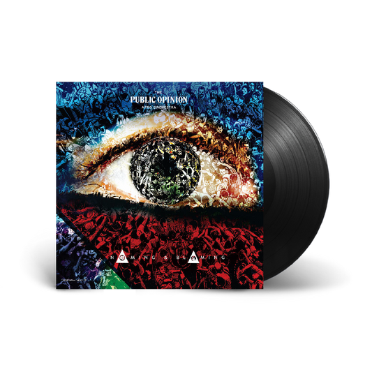 The Public Opinion Afro Orchestra  / Naming and Blaming 12" Vinyl