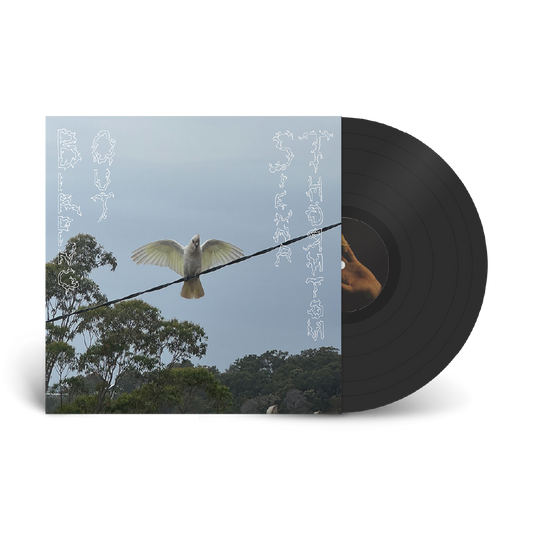 Sienna Thornton / Birding Out LP Black Vinyl - OUT 25/07/25
